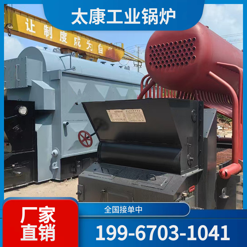 揭阳链条锅炉