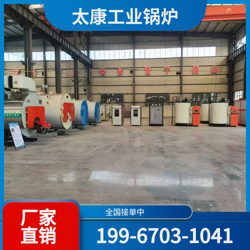 揭阳燃煤导热油锅炉